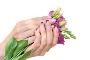 Hands of a woman with pink french manicure and flowers eustoma on a white background