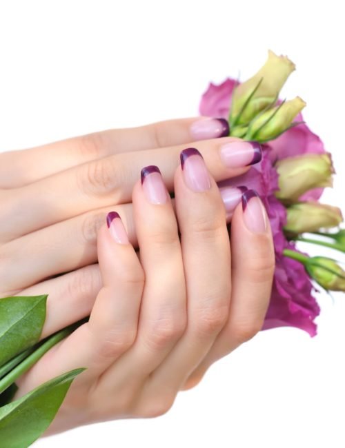 Hands of a woman with pink french manicure and flowers eustoma on a white background
